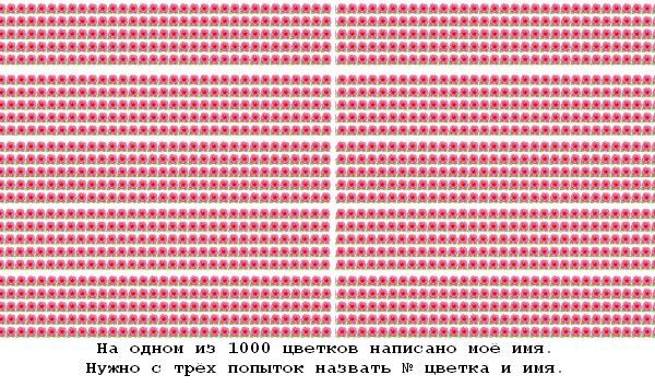 Ира люблю писать длинные ответы.