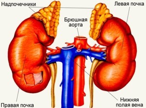 текст при наведении