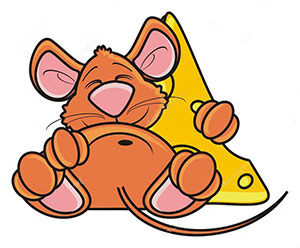 прикольные картинки с мышью или крысой и сыром для настроения