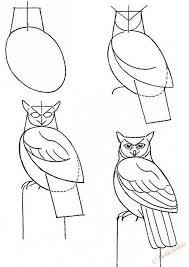 как нарисовать сову, как рисовать сову поэтапно
