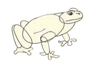 как нарисовать лягушку 2