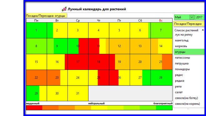 Когда можно сажать огурцы в мае 2024