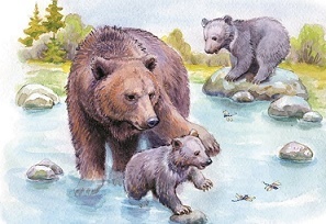 Бианки Купание медвежат, главная мысль, чему учит