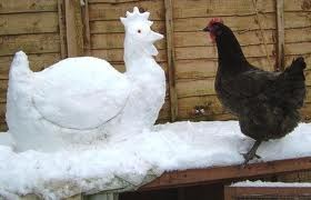 курица - петух из снега