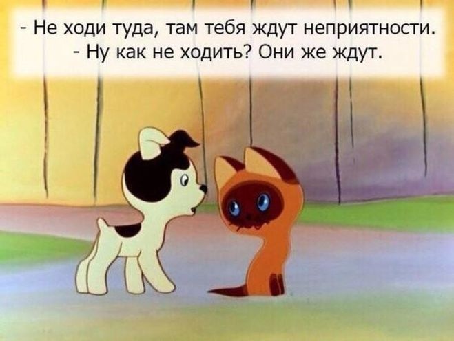 Куда ведут такие вопросы?