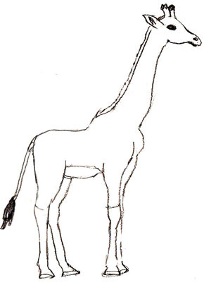 как рисовать жирафа 5