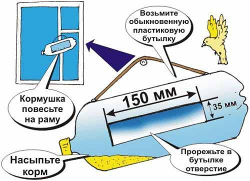 текст при наведении