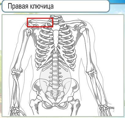 текст при наведении