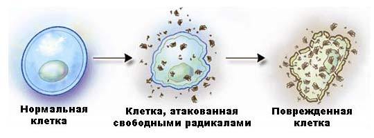 текст при наведении