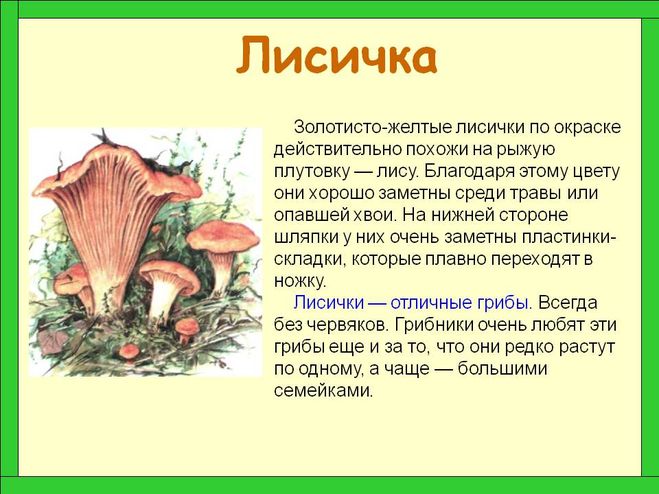 Рассказ о подосиновике 3 класс по окружающему миру