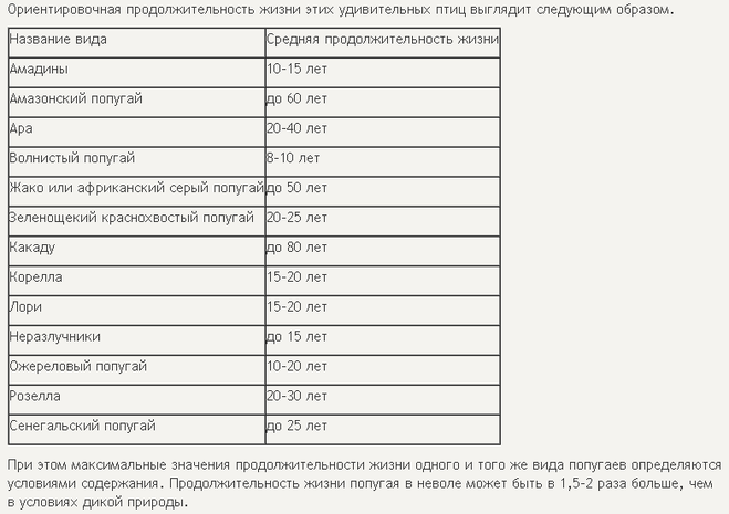 текст при наведении