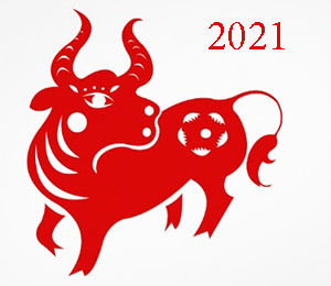 вытынанка с быком, коровой для Нового года 2021