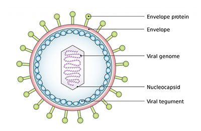 коронавирус приколы про коронавирус картинки с надписями