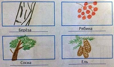 Осторожные березы прячут листья от мороза схема предложения