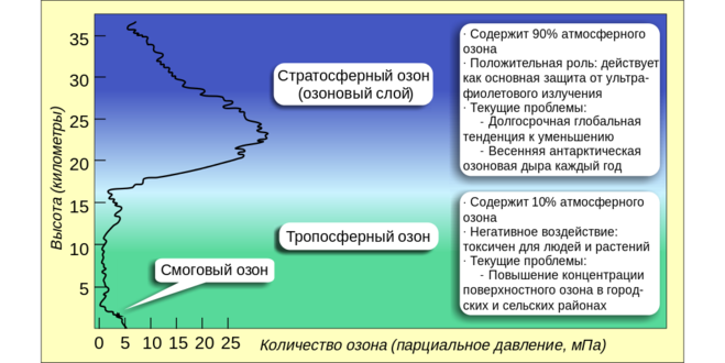 текст при наведении