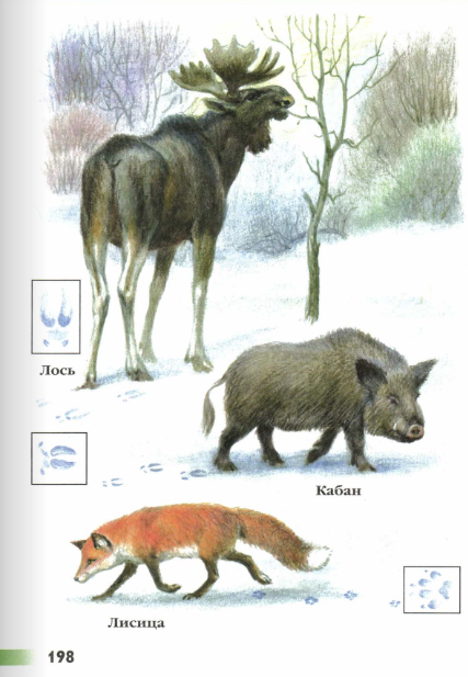 Книга "Зеленые страницы" где читать рассказы о зимней жизни зверей