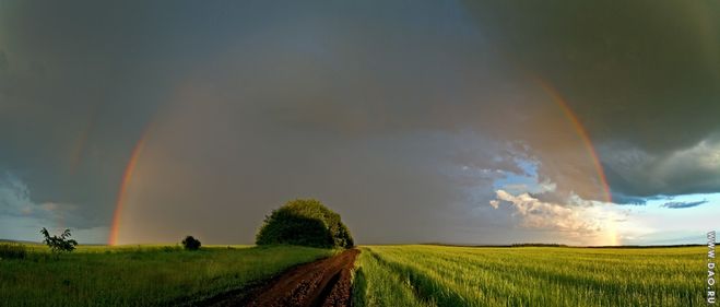 текст при наведении