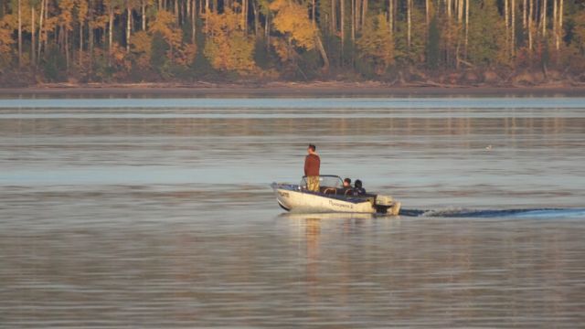 текст при наведении