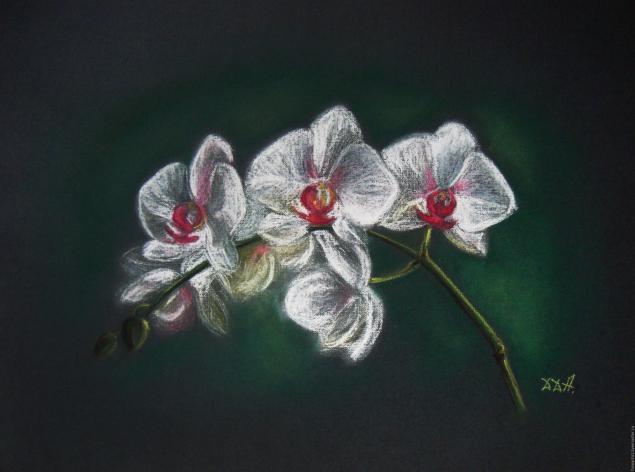 как рисовать орхидею пошагово