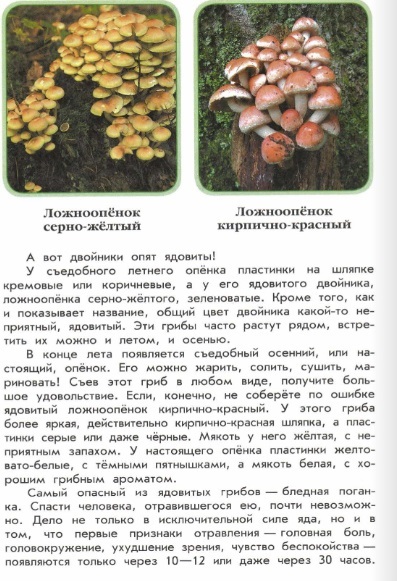 Книга "Зеленые страницы" рассказ "Зачем грибы лесу