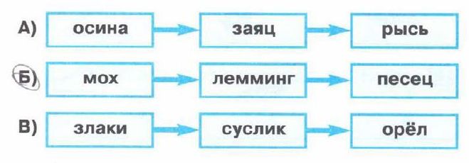 Составить пищевую цепь тундры