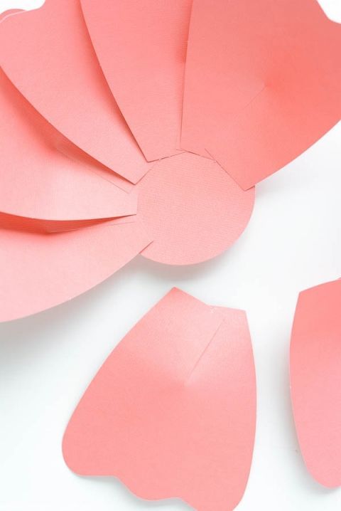 объемный цветок из бумаги для аппликации своими руками