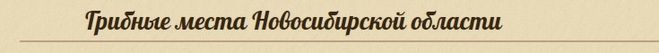 грибные места новосибирская область