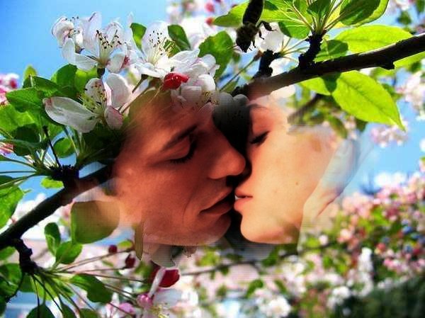 весна и любовь
