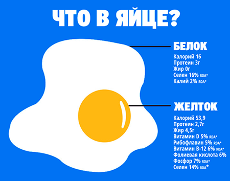 в яйце больше белков в белках или в желтках?