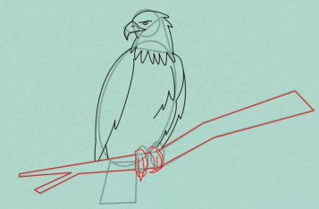 Как нарисовать орла карандашом поэтапно.