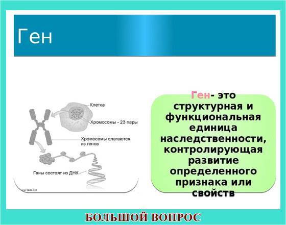 Как легко выучить проект