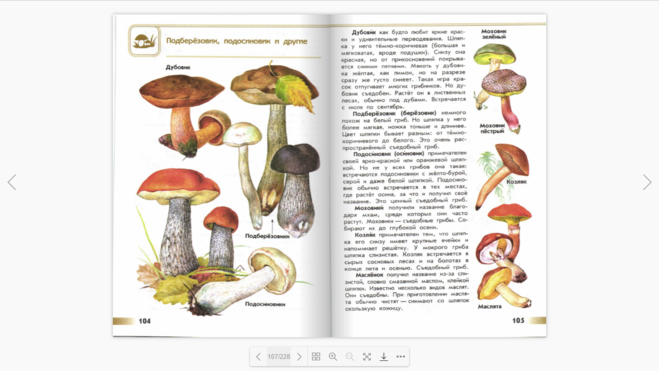 Атлас определитель 3 класс окружающий полезные ископаемые. Съедобные грибы атлас определитель. Съедобные грибы атлас определитель 3 класс. Атлас-определитель 3 класс окружающий мир Плешаков грибы. Съедобные грибы из атласа определителя.