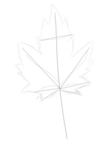 как нарисовать листья 1