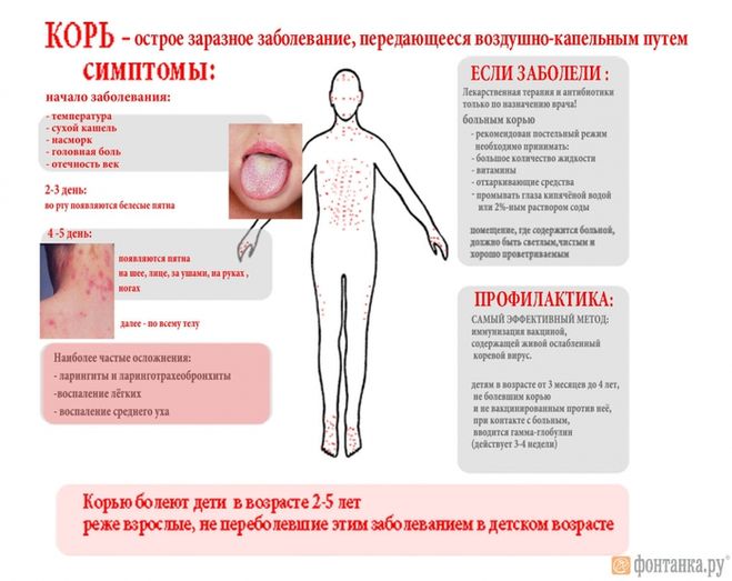 текст при наведении