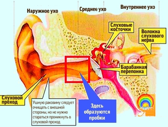 текст при наведении