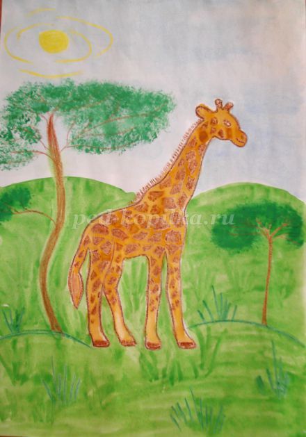 Как нарисовать жирафа, как рисовать жирафа поэтапно для детей