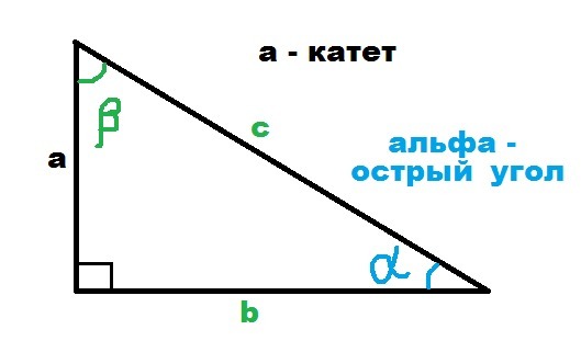 Определи значение угла alpha изображенного на рисунке