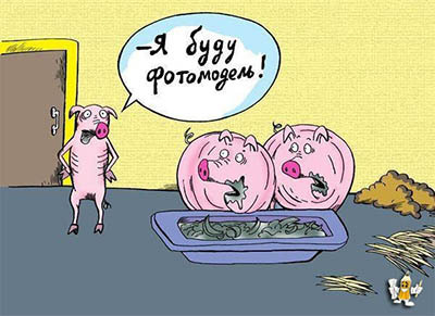 анекдоты со свиньями