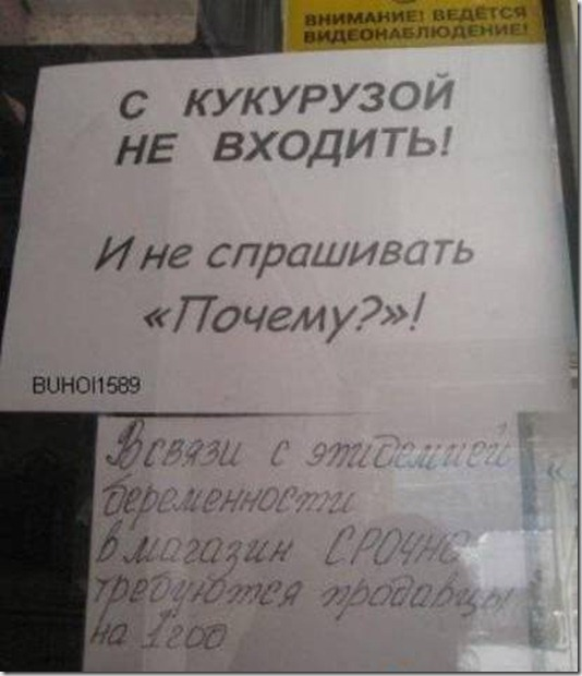 текст при наведении