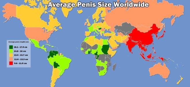 карта длины пенисов