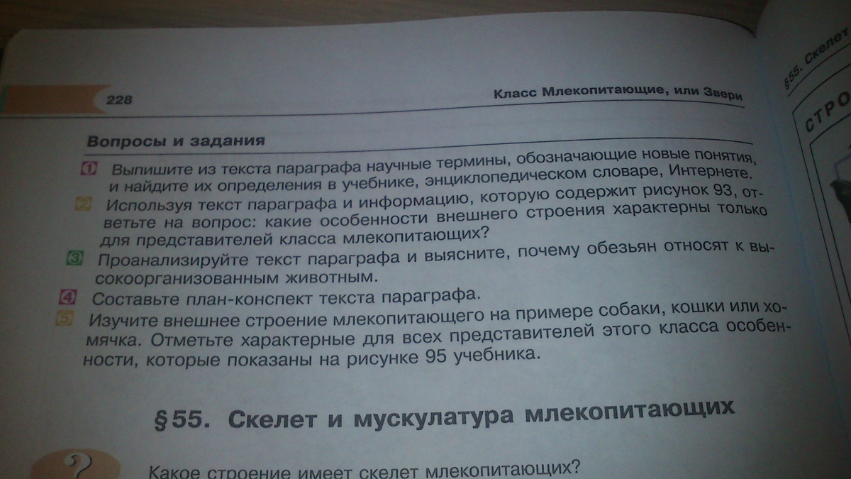 Найди в тексте параграфа. Выпишите из текста параграфа термины. Прочитайте внимательно текст параграфа выпишите из текста. Выпишите из текста параграфа научные термины. История выпишите из текста параграфа термины.