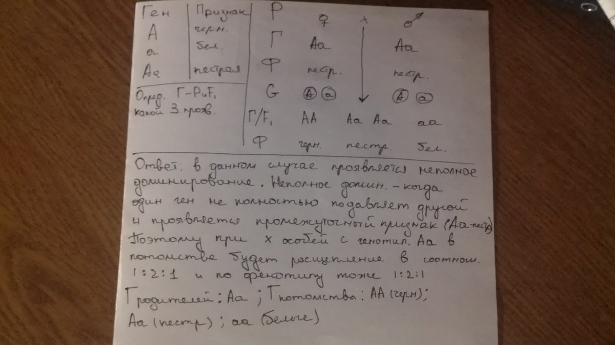 При скрещивании черного. При скрещивании пестрой. При скрещивании пестрой хохлатой курицы с таким же. При скрещивании пестрой хохлатой в. При скрещивании горностаевых петуха.