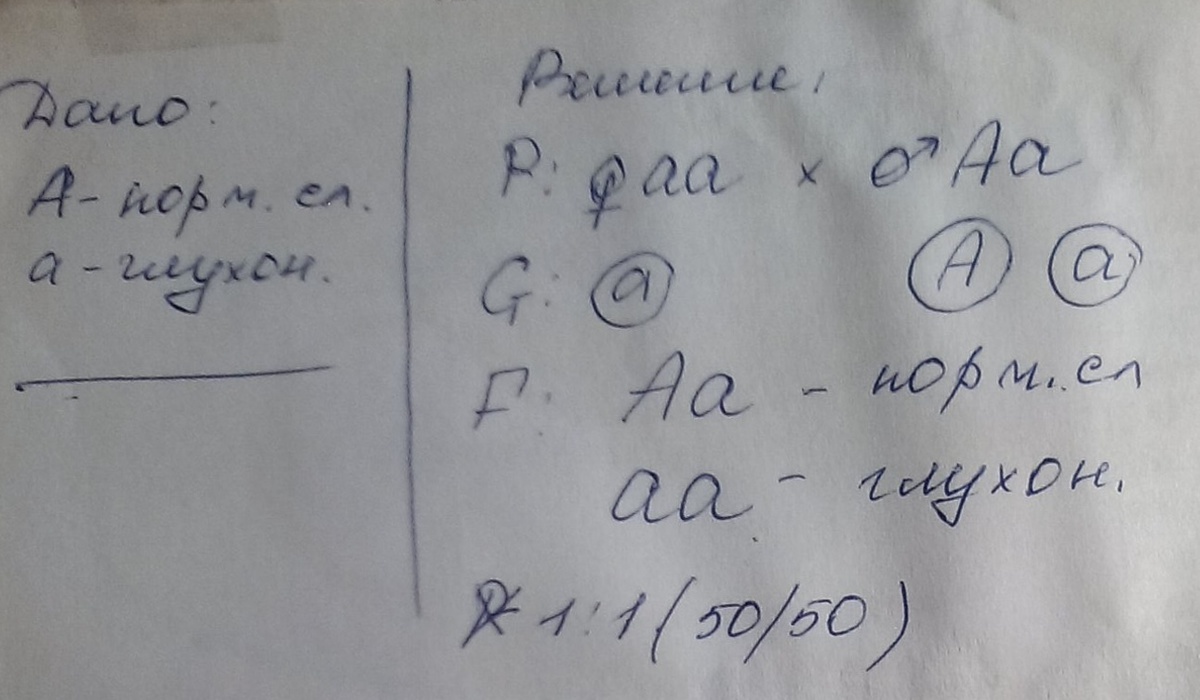 У человека ген нормального слуха. У человека ген вызывающий. У человека ген слуха вызывающий наследственную глухонемоту. У человека ген вызывающий одну из форм. У человека ген вызывающий глухонемоту рецессивен по отношению к Гену.