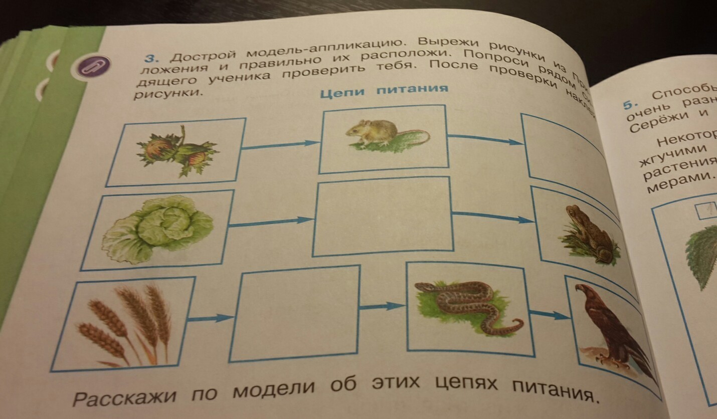 Вырежи рисунки из приложения страница 75. Дострой модель аппликацию вырежи. Вырежи из приложения рисунок. Дострой модель аппликацию вырежи рисунки из. Достройте модель аппликацию вырежи рисунки из приложения.