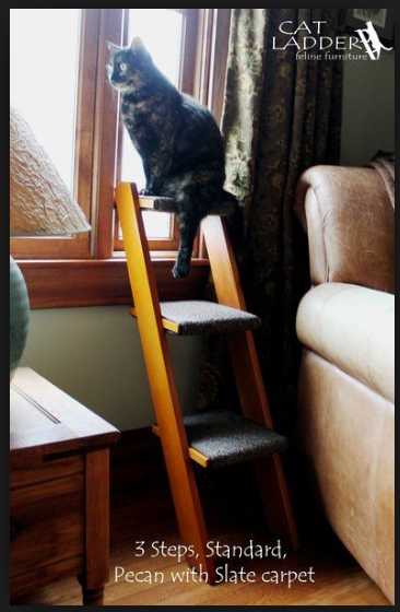 кошачья лестница