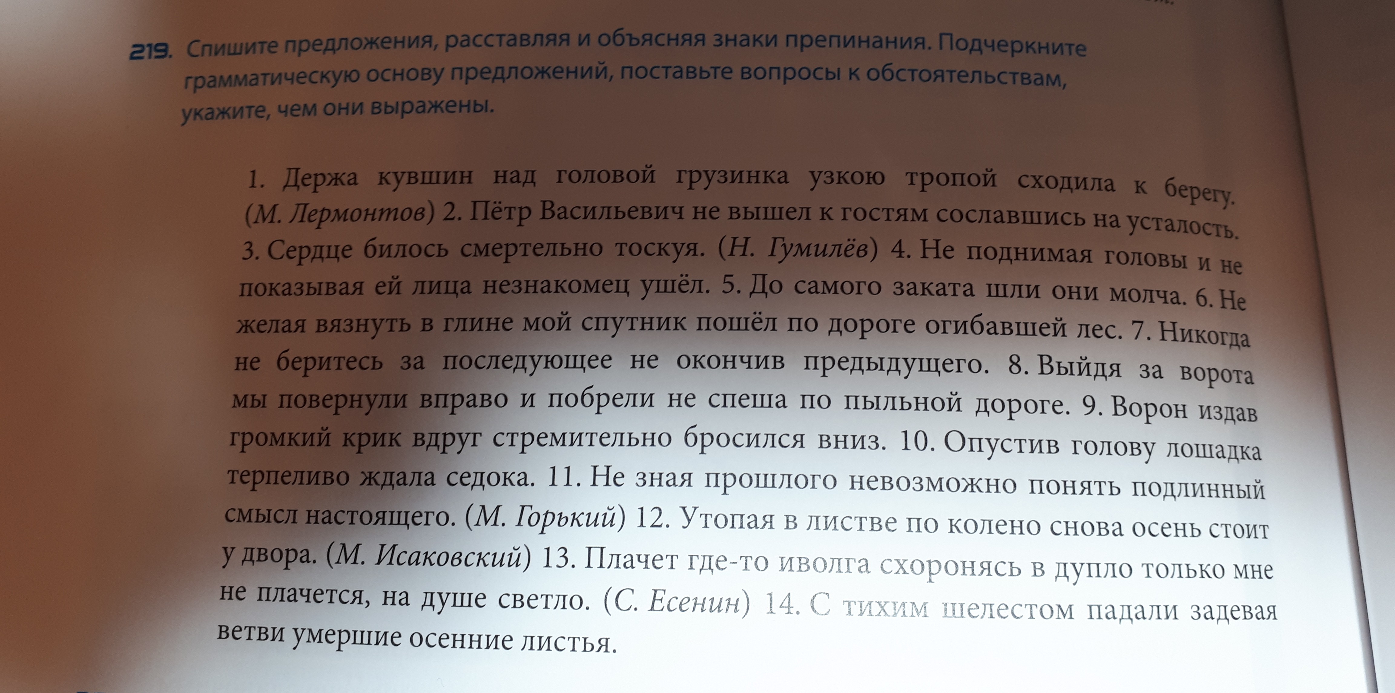 Спишите соблюдая орфографические и пунктуационные нормы. Вот жадина изумилась сестра знаки препинания и схему.