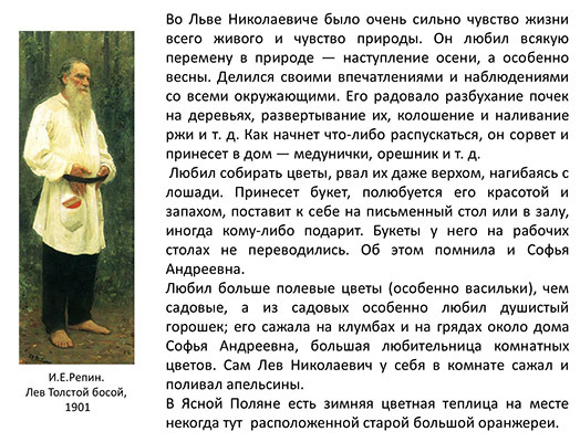 Лев Николаевич Толстой биография 3 класс кратко