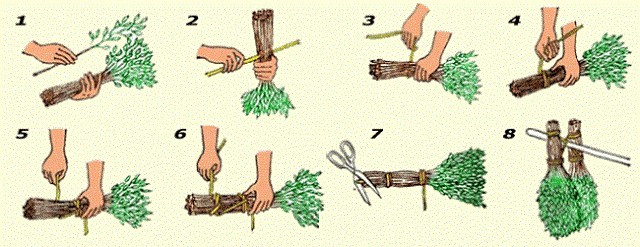как вязать веники для бани