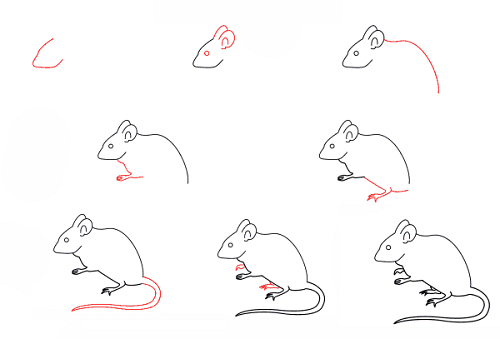 рисунок с мышью по фото-схеме поэтапно