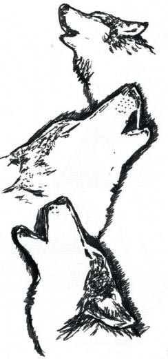 рисунок с мордой волка